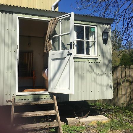 Posh Huts Farmstay Falstone Exteriér fotografie