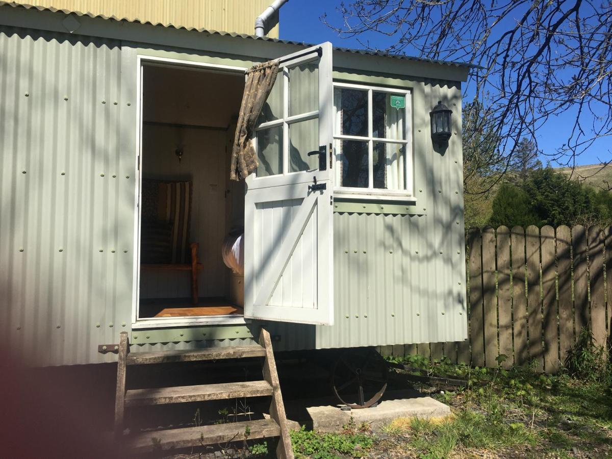 Posh Huts Farmstay Falstone Exteriér fotografie