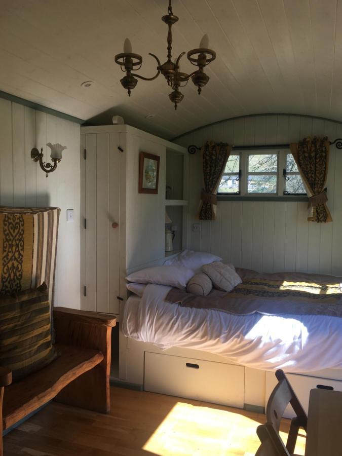 Posh Huts Farmstay Falstone Exteriér fotografie