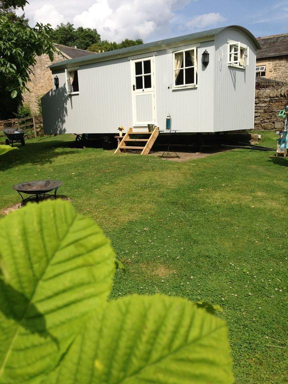 Posh Huts Farmstay Falstone Pokoj fotografie